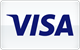 Visa card payment accepted at Netflix Casino